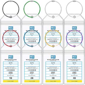 NCL Cruise Luggage Tag Holders, Zip Seal Clear Cruise Ships Luggage Tags Holder with Steel Loops Fit for Norwegian NCL Cruise Line Ship & Itineraries Tags in 2024 & 2025 (8 Pcs with 7 Colors Ring)