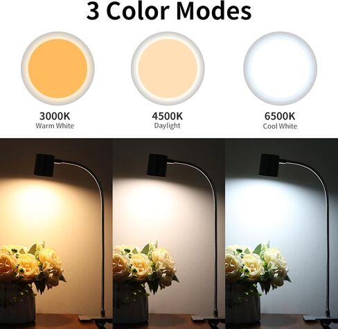Dott Arts Desk Lamp,USB Clip On Light with 3 Color Modes,LED 10 Levels Brightness Reading Light, 360°Gooseneck Book Light,Eye-Care Reading Lamp for Home Office,Headboards Black in Kuwait