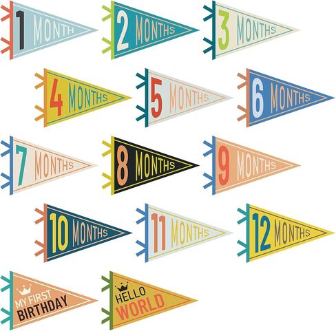 14 Pcs Baby Milestone Pennant Signs Monthly Milestone Banner Flags Pennant Triangle Banner Age Flag Signs for Boy Girl Newborn Birthday Party Decor(Assorted Colors) in Saudi Arabia