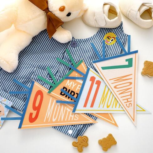 14 Pcs Baby Milestone Pennant Signs Monthly Milestone Banner Flags Pennant Triangle Banner Age Flag Signs for Boy Girl Newborn Birthday Party Decor(Assorted Colors) in Saudi Arabia