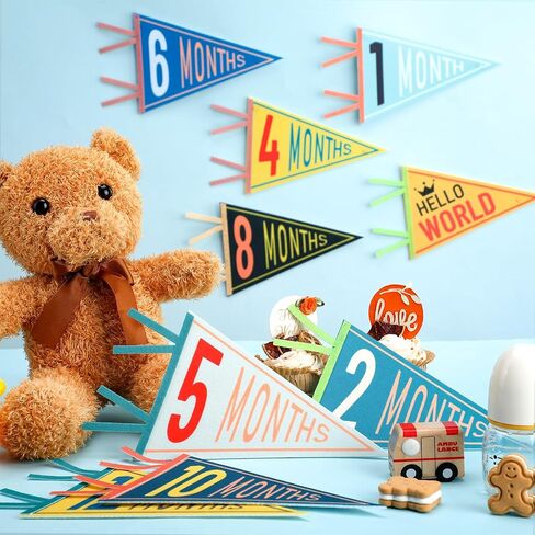 14 Pcs Baby Milestone Pennant Signs Monthly Milestone Banner Flags Pennant Triangle Banner Age Flag Signs for Boy Girl Newborn Birthday Party Decor(Assorted Colors) in Saudi Arabia