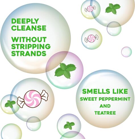 OGX قوة إضافية منتعشة لفروة الرأس + نعناع شجرة الشاي، شامبو منشط لفروة الرأس مع شجرة الشاي وزيت النعناع وبندق الساحرة، مواد خافضة للتوتر السطحي خالية من البارابين/الكبريتات، 13 أونصة سائلة in Kuwait