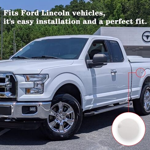 Replace 9L3Z-99405A26-AA Gas tank door,gas door replacement for 2009-2015 Ford F-150,2010-2014 Lincoln Mark LT Style side fuel tank door,Fender Bed-Fuel Door Gas Cap Hatch. (9L3Z-99405A26-AA, Black) in Saudi Arabia