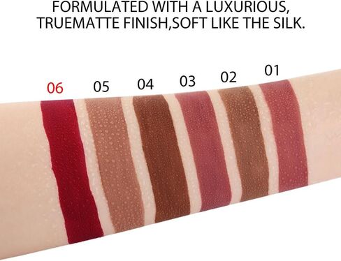 evpct CmaaDu 6Pcs Lipstick Matte Liquid Lipstick Lipgloss Set for Women, Dark Deep Bright Ruby Sexy Brick Red Mauve labiales mate 24 horas originales matte larga duracion 24 Hour Lipstick Long Lasting in Kuwait