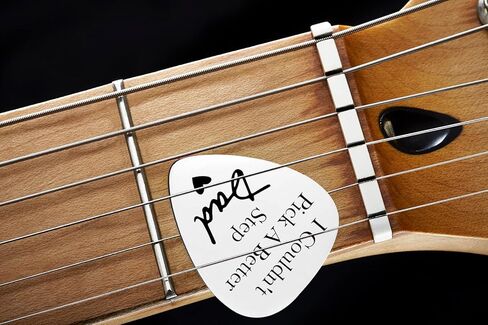 LRUIOMVE Gifts for Nephew Funny Stainless Steel Guitar Picks with Cowhide Leather Case - I Couldn't Pick a Better Nephew, for Nephew Musician Guitar Player Birthday Gift From Aunt Uncle in Kuwait