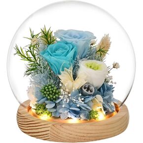 Rose in Glass Dome with LED Light - Gifts for Women Mom Grandma Her Girlfriend Wife