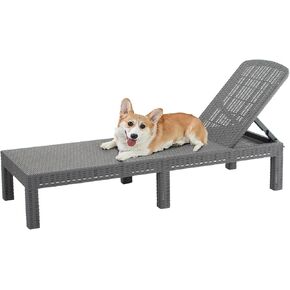 DIMAR GARDEN Outdoor Chaise Lounge,Resin Pool Lounge Chair Waterproof Recliner,Gray