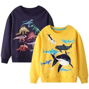 2 Pack Toddler Boys Sweatshirts,Long Sleeve Boys Fashion Tops,Cartoon Toddler Fall Outfits,Toddler Sweater 2t-7t