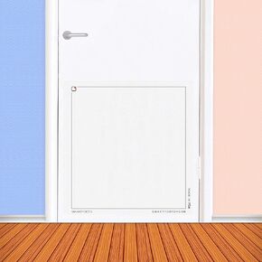 | SNAP SNAP Dry Erase Without A Trace FlexiPage 3-Pack Quick Release Reversible for 3-Ring Binder Optically Transparent Portable Flexible Thick Rigid Premium Quality Made in The USA