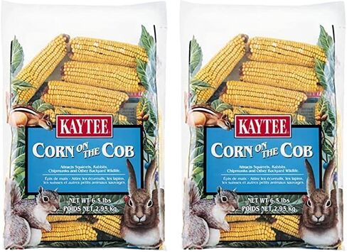 Kaytee Corn On The Cob Food For Wild Squirrels, Rabbits, Chipmunks and Other Backyard Wildlife, 6.5 Pound in Saudi Arabia