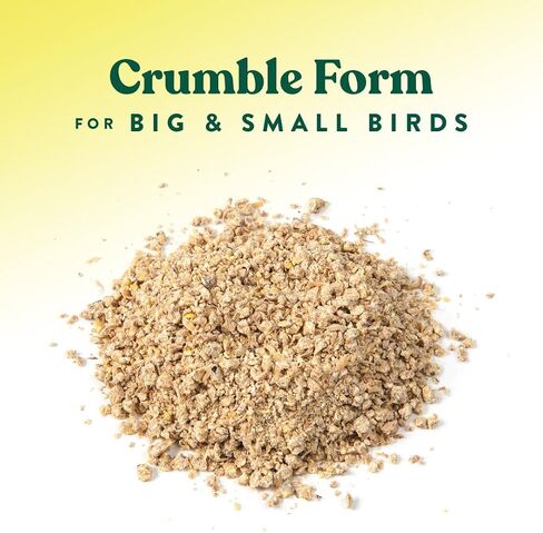 Manna Pro All Flock Crumbles with Probiotics, Chicken & Duck Food, 25 lb in Saudi Arabia
