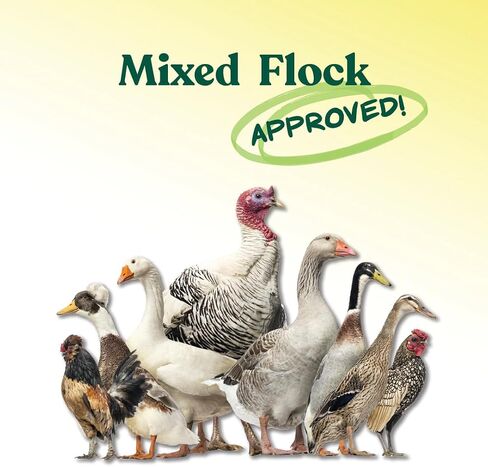 Manna Pro All Flock Crumbles with Probiotics, Chicken & Duck Food, 25 lb in Saudi Arabia