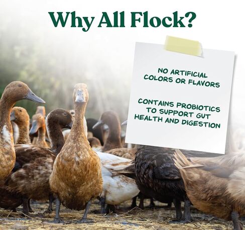 Manna Pro All Flock Crumbles with Probiotics, Chicken & Duck Food, 25 lb in Saudi Arabia