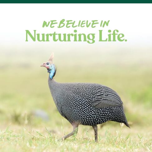 Manna Pro All Flock Crumbles with Probiotics, Chicken & Duck Food, 25 lb in Saudi Arabia