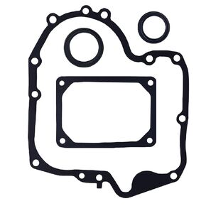 Crankcase Gasket & Oil Seal Combo Set for 793880 697110 795387 272475s