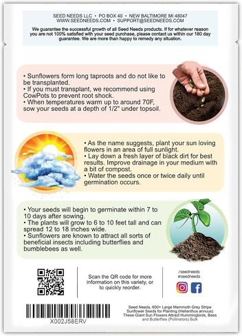 احتياجات البذور، أكثر من 300 بذور عباد الشمس كبيرة الحجم مخططة باللون الرمادي للزراعة (Helianthus annuus) تجذب زهور الشمس العملاقة هذه الطيور الطنانة والنحل والفراشات (الملقحات) بكميات كبيرة in Kuwait