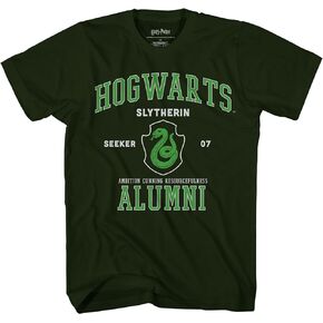 Harry Potter Gryffindor Slytherin Ravenclaw Hufflepuff Alumni Seeker Team Adult T-Shirt