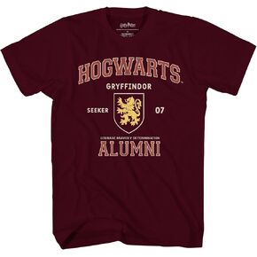 Harry Potter Gryffindor Slytherin Ravenclaw Hufflepuff Alumni Seeker Team Adult T-Shirt