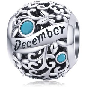 C&L Ocean Radiant Heart Charms Bead Birthstone Crystal Charm Christmas European Charm Fit for Pandora's Charm Bracelet &Necklace