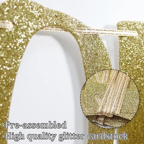 Holy Shit You're Old Banner Black Glitter for 30th 40th 50h 60th 70th 80th 90th Funny Birthday Banner Sign Bunting Party Decor Photo Booth Props (Black) in Kuwait