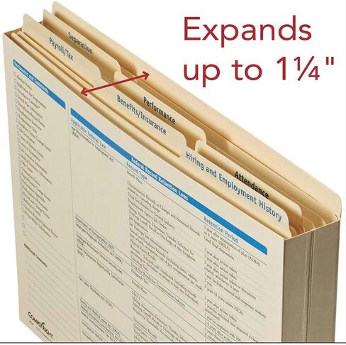 Hiring/Employment Folder | 11.75" x 9.5" | HR and Employee Management | 25-Pack in Kuwait