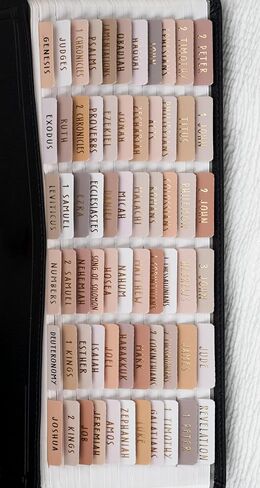 UPAFEXXI-Laminated Bible Tabs (Rose Gold Foil Embossed Lettering), Bible Tabs for Women and Men, Reposition Large Print Stickers, Easy to Read and Apply, 80Chapters Labels for Easy Navigation(Pink) in Saudi Arabia
