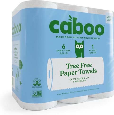 Caboo Tree Free Paper Towels, 2 Rolls, Tree Free, Eco Friendly, Earth Friendly, Sustainable Kitchen Paper Towels with Strong 2 Ply Sheets in Kuwait