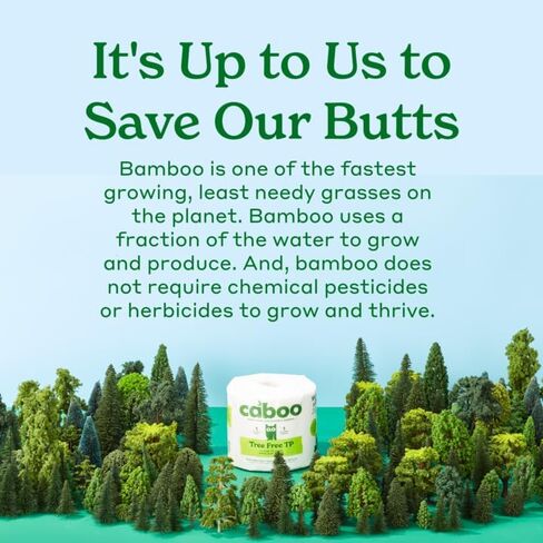 Caboo Tree Free Paper Towels, 2 Rolls, Tree Free, Eco Friendly, Earth Friendly, Sustainable Kitchen Paper Towels with Strong 2 Ply Sheets in Kuwait