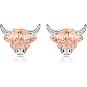 925 Sterling Silver Dragon Earrings Stud Hypoallergenic Jewelry Gifts for Women Girls Teens