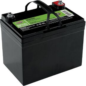 Interstate Batteries 12V 110 AH SLA/AGM Deep Cycle Battery for Solar, Wind, and RV Applications - Insert Terminals (DCM0100)