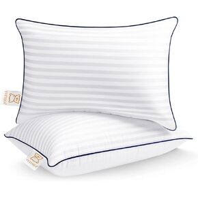 Throw Pillows Insert, 18'' x 18'' Set of 2, Decorative for Couch, Sofa or Bed with Premium Down Alternative Filled, White in Saudi Arabia