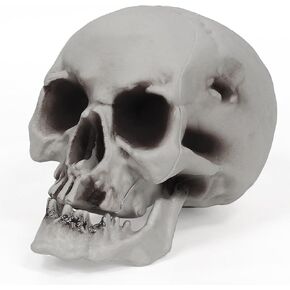 Human Skull Head Life Size Model 1:1 Replica Realistic Adult Plastic Skull Head for Halloween Decor