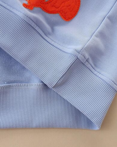 FreeLu Girls Cotton Pullover Sweatshirts Kids Cute Cartoon Printed Crewneck Tops in Kuwait