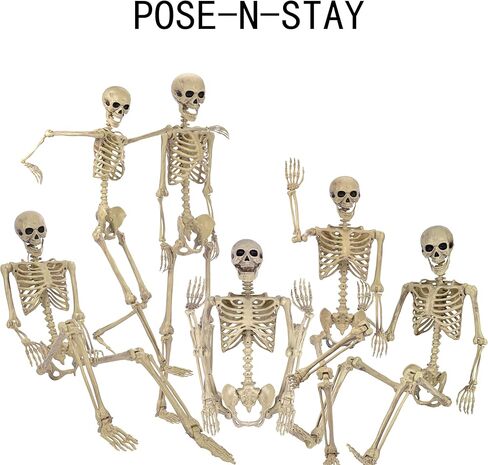 5.5Ft/65 بوصة/165 سنتيمتر Pose-N-Stay هيكل عظمي للهالوين بالحجم الطبيعي كامل الجسم قابل للنقل جونينتس ديكور الهالوين in Kuwait