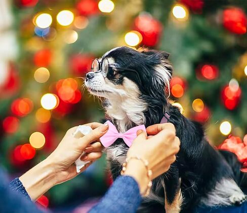 2 Pcs Bow Ties Adjustable Pre-tied Satin Formal Tuxedo Bowties for Wedding Homecoming Party in Kuwait