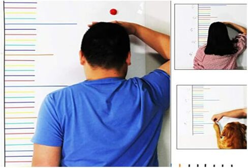10 Rolls 1/8 Whiteboard Thin Tape Pinstripe Art Tape Dry Erase Board 丨Warning Line Sculpture Glue丨PET Marla Tape in Saudi Arabia