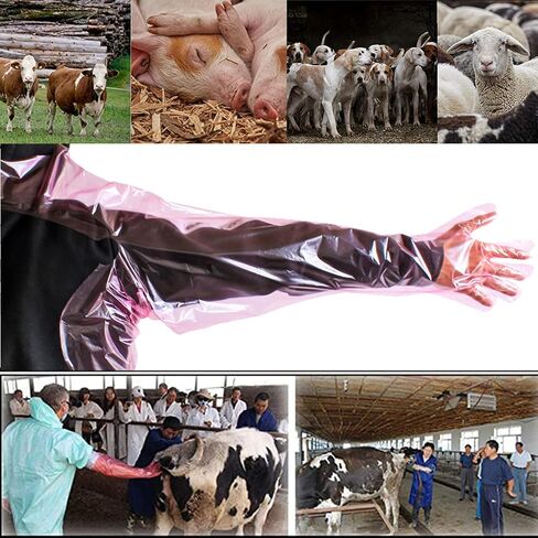 Halter Disposable Artificial Insemination Gloves Veterinary Gloves Shoulder Length Disposable Cow Palpation in Saudi Arabia