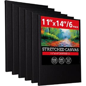 Canvases for Painting Set 20 Pack Painting Canvases with 4x4, 5x7, 8x10, 9x12, 11x14, 4 of Each, 10 Brush, 24x12ml Acrylic Paints, 1Pattle