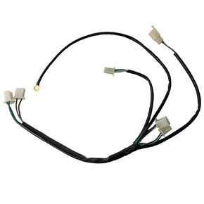 Wire Harness for Apollo 50cc 70cc 110cc 125cc 140cc Dirt Bikes