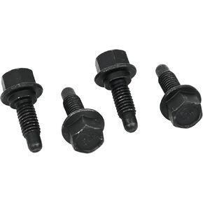 LS Lifter Guide Tray Bolts - Set of 4 LS1 4.8 5.3 5.7 6.0 6.2 7.0 LS1 LS2 LS3 LS6 LQ4 LQ9 LY5 LY6 LM7 4.8 5.3 5.7 6.0 6.2 7.0 12595365