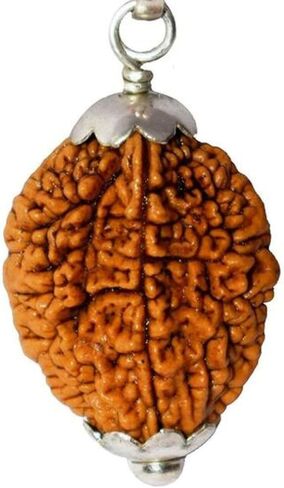 نايشا 2 موكي هيمالايا رودراكشا | رودراكشا ذات وجهين | خرز رودراكشا مع معلقة | (منتج روحاني وشفائي) أصلي ومعتمد 100%.. in Kuwait