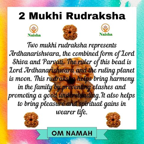 نايشا 2 موكي هيمالايا رودراكشا | رودراكشا ذات وجهين | خرز رودراكشا مع معلقة | (منتج روحاني وشفائي) أصلي ومعتمد 100%.. in Kuwait