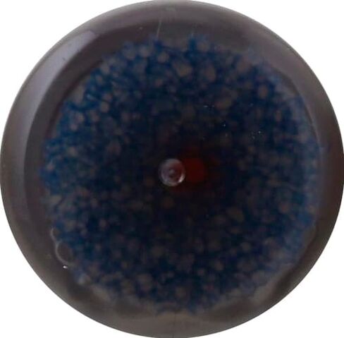 كيوي للأحذية الرياضية ومنظف الأحذية | للأحذية الرياضية وأحذية التنس والجلود والمزيد | 2.5 أونصة | تتضمن أداة توزيع إسفنجية in Kuwait