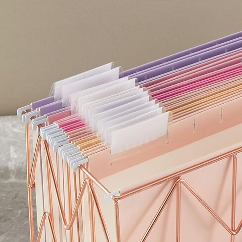 12 Pack Hanging File Folders Letter Size with 1/5 Cut Adjustable Tabs File Folder for Filing Cabinet Reinforced Hanging Folders Design for School Office and Medical Charts, Pink Design in Saudi Arabia