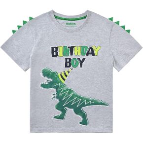 WAWSAM boys T-shirt