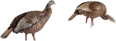 Avian-X HDR Hen Turkey Decoy | Durable Realistic Lifelike Standing Hunting Decoy with 2 Removable Heads, Carry Bag & Integrated Stake, AVX8106 in Saudi Arabia