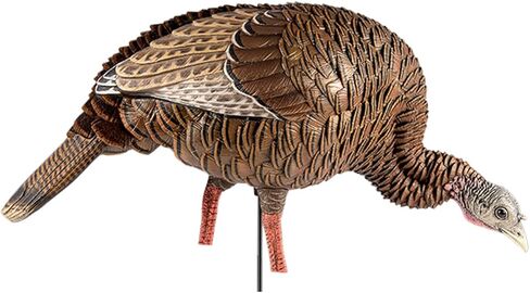 Avian-X HDR Hen Turkey Decoy | Durable Realistic Lifelike Standing Hunting Decoy with 2 Removable Heads, Carry Bag & Integrated Stake, AVX8106 in Saudi Arabia