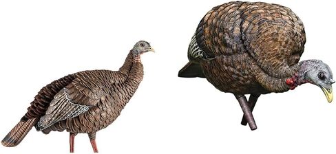 Avian-X HDR Hen Turkey Decoy | Durable Realistic Lifelike Standing Hunting Decoy with 2 Removable Heads, Carry Bag & Integrated Stake, AVX8106 in Saudi Arabia