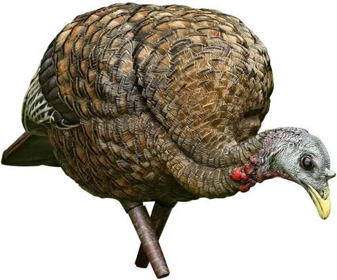 Avian-X HDR Hen Turkey Decoy | Durable Realistic Lifelike Standing Hunting Decoy with 2 Removable Heads, Carry Bag & Integrated Stake, AVX8106 in Saudi Arabia