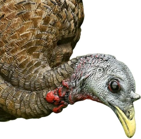 Avian-X LCD Laydown Hen Turkey Decoy | Durable Realistic Lifelike Collapsible Standing Hunting Decoy with Carry Bag & Stake, AVX8011 in Saudi Arabia
